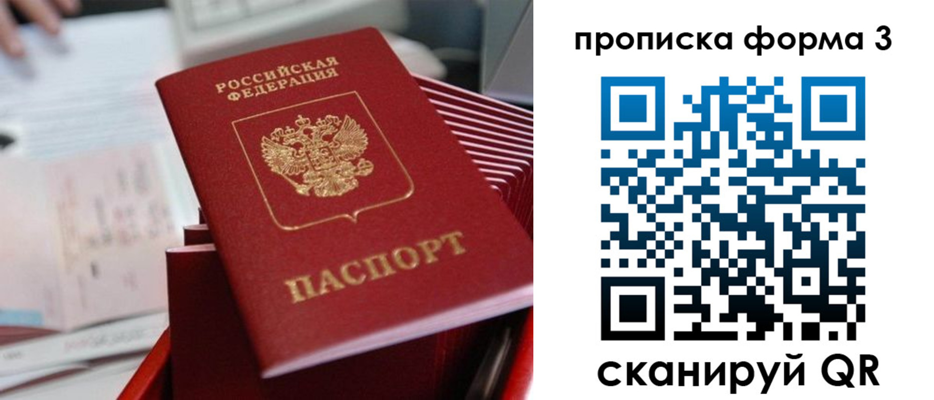 временная регистрация гарантия в Полярных Зорях